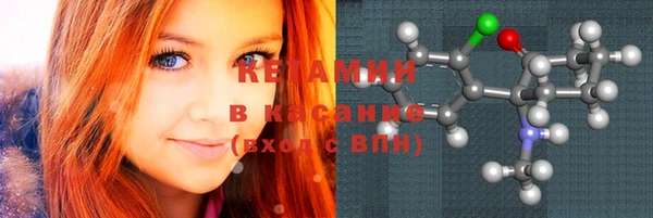 шишки Медвежьегорск