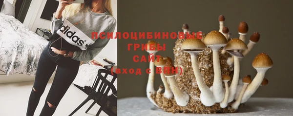 прущие крисы Сясьстрой