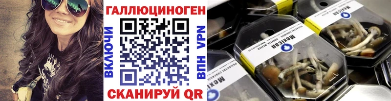 где купить наркоту  Зерноград  Галлюциногенные грибы GOLDEN TEACHER 