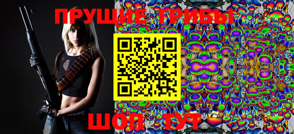 Галлюциногенные грибы Psilocybe  Псилоцибиновые грибы GOLDEN TEACHER  Вход с VPN  Зерноград 